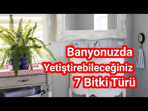 Video: Banyoda qapalı bitkilər