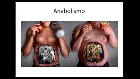 O que é metabolismo e fisiologia?