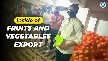 Inside of Fruits and Vegetables Export | How to Export Fruits and Vegetables | by Paresh Solanki