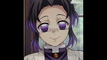 i have no idea what to call this so