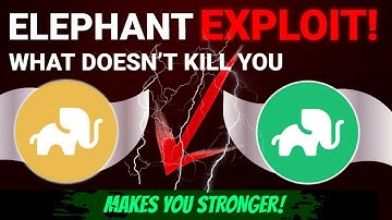 Elephant Exploit on the Reserve Reverses Supply Shock | Recoverable? Yes | Patience, HODL, & Rebuild