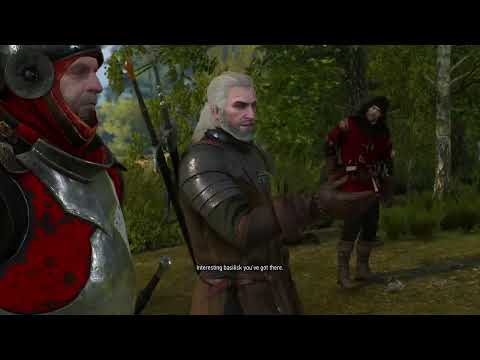 The Witcher 3: Wild Hunt - ''That's a wyvern, not a basilisk.''
