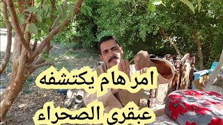 من قلب الصحراء قصه استخراج الكنوز و الدفائن بواسطه أسياخ النحاس (اجمل حلقاتي)