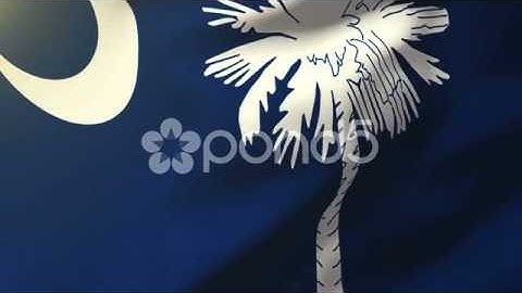 South Carolina Flag Waving In The Wind. Looping Sun Rises Style. Animation Loop