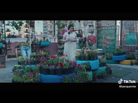 حالات واتس اب اغنيه انا الممكن مش ممكن الصعب مني يتمكن ل