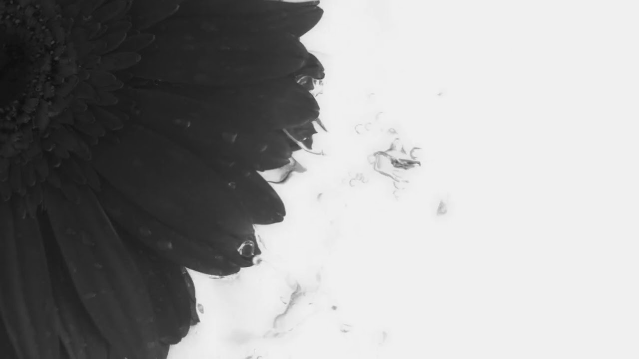 GOURI  - THE WORLDS 1ST FULLY LIQUID TYPE PCL INJECTABLE