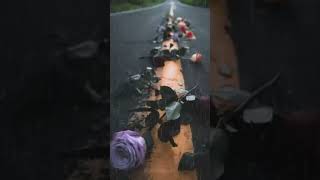 Hiraizerdüş Yürüyorum Dikenlerin Üstünde