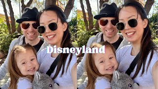 Weekly Family Visits to Disneyland California