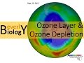 Ozone Layer and UV Radiation Effects