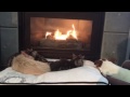 Cats And Dogs Relaxing In Front Of Fire