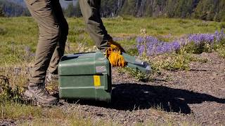 Ranger Micah and the Marmot
