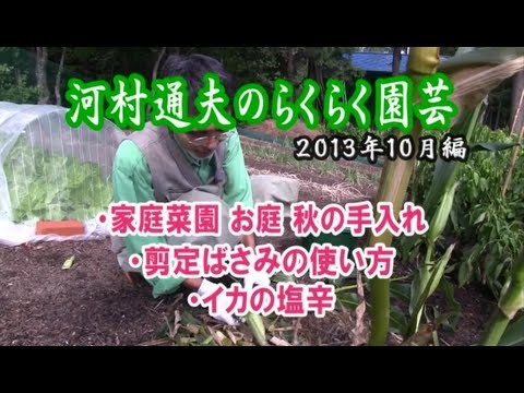 河村通夫のらくらく園芸13年10月 家庭菜園 お庭 秋の手入れ 剪定ばさみの使い方 イカの塩辛の作り方 Youtube