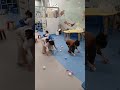 أطفال في الحضانة يلعبون بالكرة يضحكون ويركضون في جو مليء بالمرح 