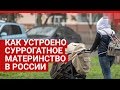 Как на самом деле устроено суррогатное материнство в России | 161.RU