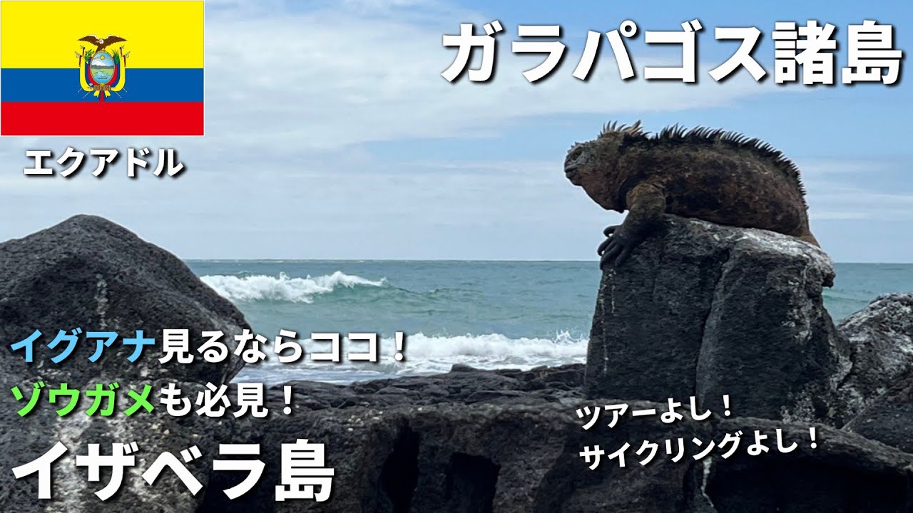 ガラパゴス諸島旅行。サンタクルス島から移動し、イザベラ島に1泊2日。ティントレラス島の半日ツアーを堪能。翌日はサイクリングロードを走りリクガメを探す。