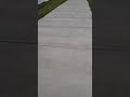 Two Geese Families (short video)
