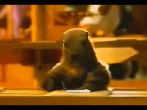 Tv Advertising Milka Versus Lindt