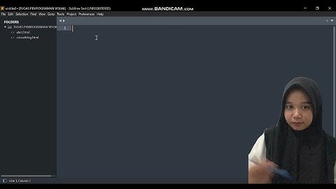 TUGAS PEMROGRAMAN VISUAL 1 (menampilkan program biodata menggunakan fungsi documen.write)