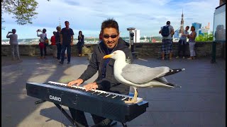 【Miracle!】Bird listening to music on the piano!