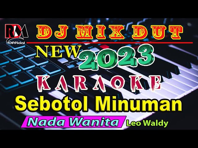 Dj Remix Dangdut Sebotol Minuman ~ Leo Waldy Karaoke (Nada Wanita) RDM Official class=