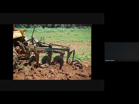 Vídeo: Quais são algumas maneiras de prevenir a erosão?