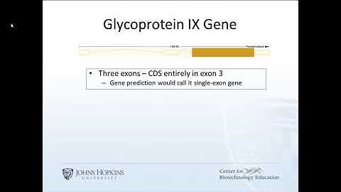 Bioinformatics | 02 Eukaryotic Gene Structure 10 58