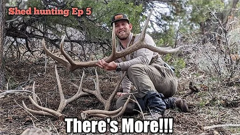 Shed Hunting/11 sheds