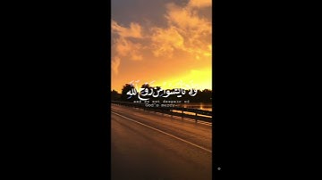  من اروع تلاوات القرآن الكريم الشيخ رزكار محمد #short 