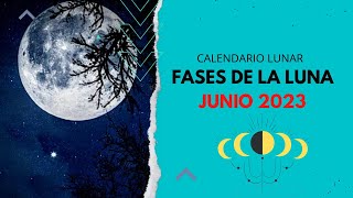 Celebrity ▶️ CALENDARIO LUNAR JUNIO 2023 ✅ TODAS LAS FASES DE LA LUNA EN JUNIO 2023 - FASES LUNARES 2024 VÍDEO Wealth