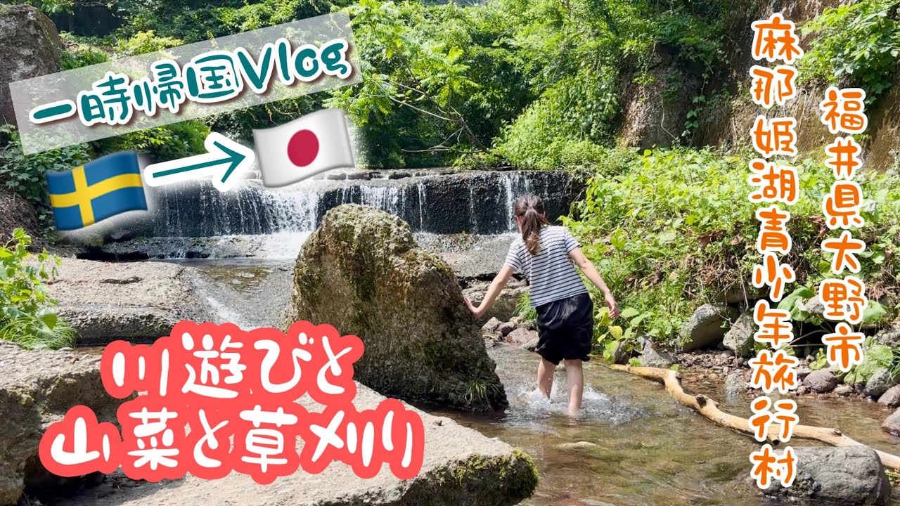 【一時帰国Vlog🇸🇪→🇯🇵】田舎の夏休み。水遊びと草刈り【その7】
