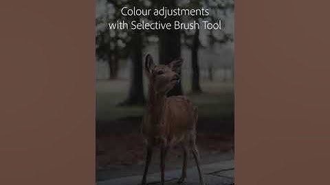 Create interest with dynamic light – Mobile Tutorial @withluke | Adobe UK