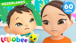 Baby Heeft Au  | Lellobee Nederlands | Kinderliedjes | Leervideo's voor kinderen