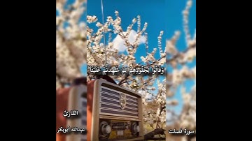 تلاوة مختارة من سورة فصلت /القارئ عبدالله أبوبكر #قرآن #اكسبلور #المصحف #دويتو #السعودية #تيك_توك