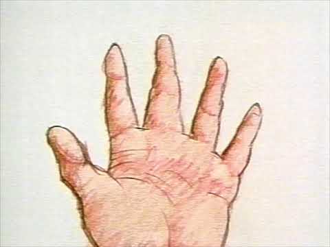 Related Embedded Video Item Thumbnail