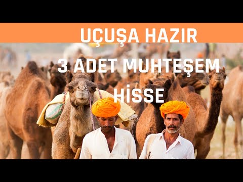 UÇUŞA HAZIR  3 ADET MÜTHİŞ ve MUHTEŞEM HİSSELER.Beklerseniz çok bereketli kazançlar olacak İnşaAllah