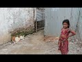 WSPA: Collars Not Cruelty in the fight against rabies