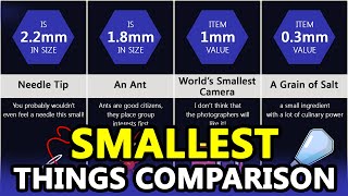 Smallest Things in the World – Size Comparison