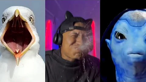 NEW BEST FUNNY VIDEOS 😅 Jacksinfo Try Not Laugh Challenge Compilation Part 13