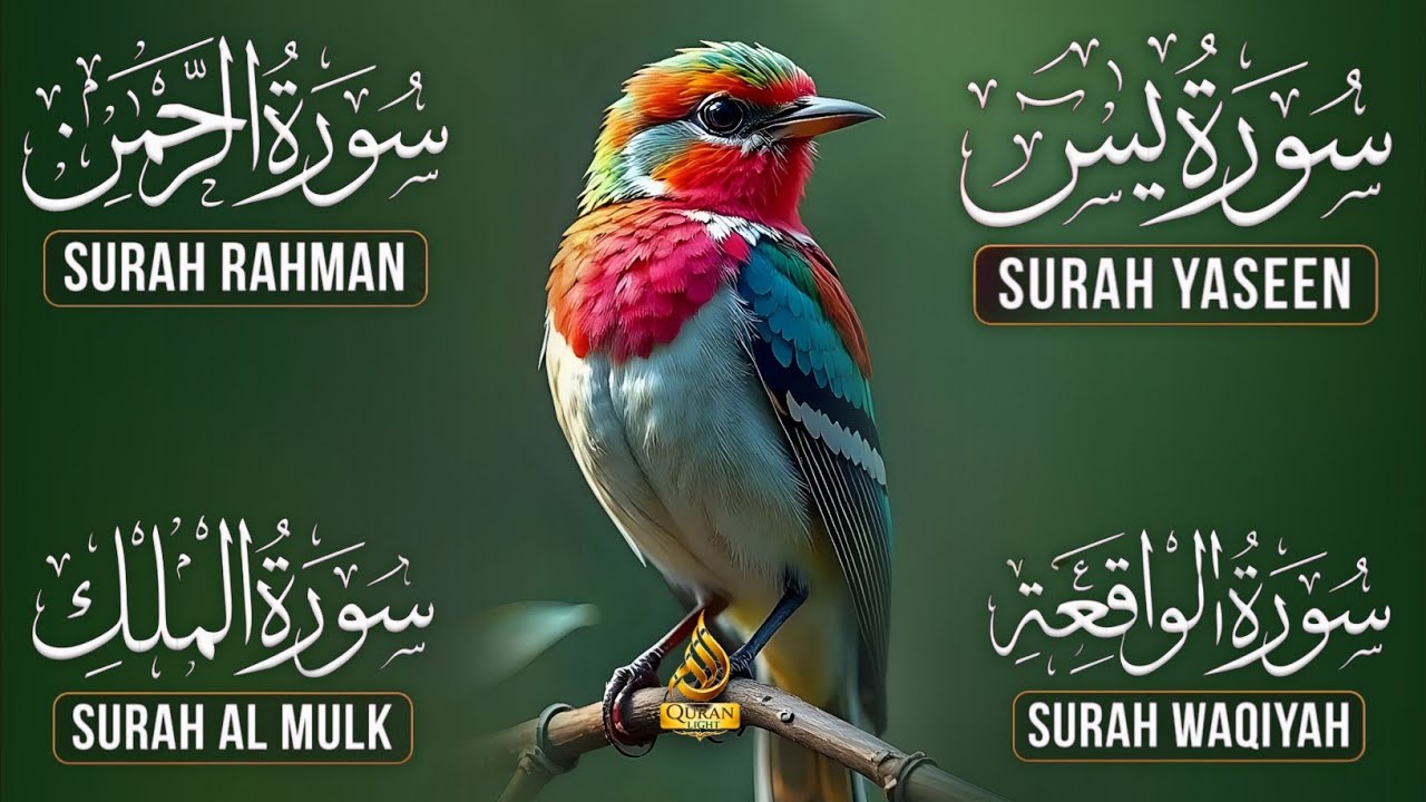 Very Nice Voice Surah Yaseen | Surah Rahman | Surah Waqiah | Surah Mulk l Reciter Ashraf Hussain 006