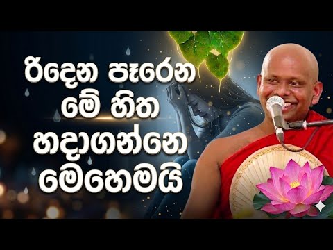 රිදෙන පෑරෙන මේ හිත හදාගන්නෙ මෙහෙමයි 🙏 / Walimada saddaseela thero🪷 