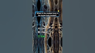 DO YOU KNOW 3/3 ? #questions #shortvideo #viral_content #viralshort