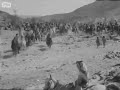 فديو قبل ١٠٠ سنه لحشد قبائل في الجزيره العربيه لمحاربه العثمانيين نجومي