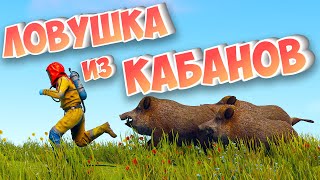 видео: САМЫЙ БЫСТРЫЙ СТАРТ за 6000 ЧАСОВ! ЛОВУШКА ИЗ КАБАНОВ в РАСТ/RUST картинка: САМЫЙ БЫСТРЫЙ СТАРТ за 6000 ЧАСОВ! ЛОВУШКА ИЗ КАБАНОВ в РАСТ/RUST