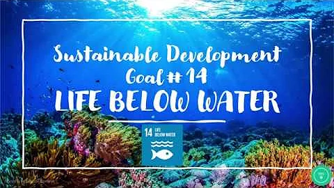 Explore: Sustainable Development Goal #14 Life Below Water