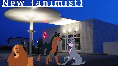 New {Daya} ANIMASH baltoXjenna ladyXtramp