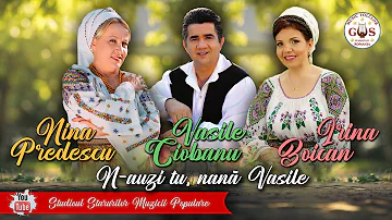 Nina Predescu, Vasile Ciobanu si Irina Zoican - N-auzi tu, nana Vasile ( ALBUM ) NOU