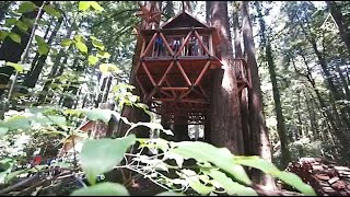 O2 Treehouse \/ Treewalkers Workshop Tour