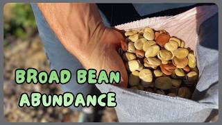 Why Our Potato Beds Failed (And What We're Planting Instead)
