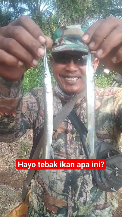 ikan aneh//mulutnya panjang banget
