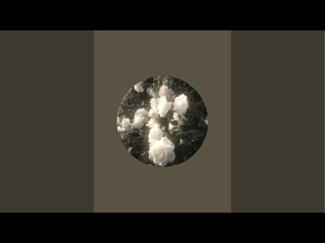 黒田ねむるん　ASMR がライブ配信中！